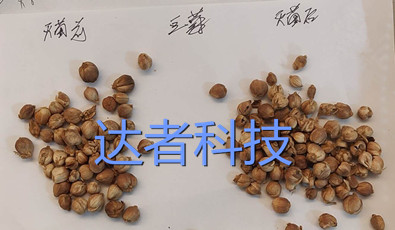 豆蔻滅菌效果